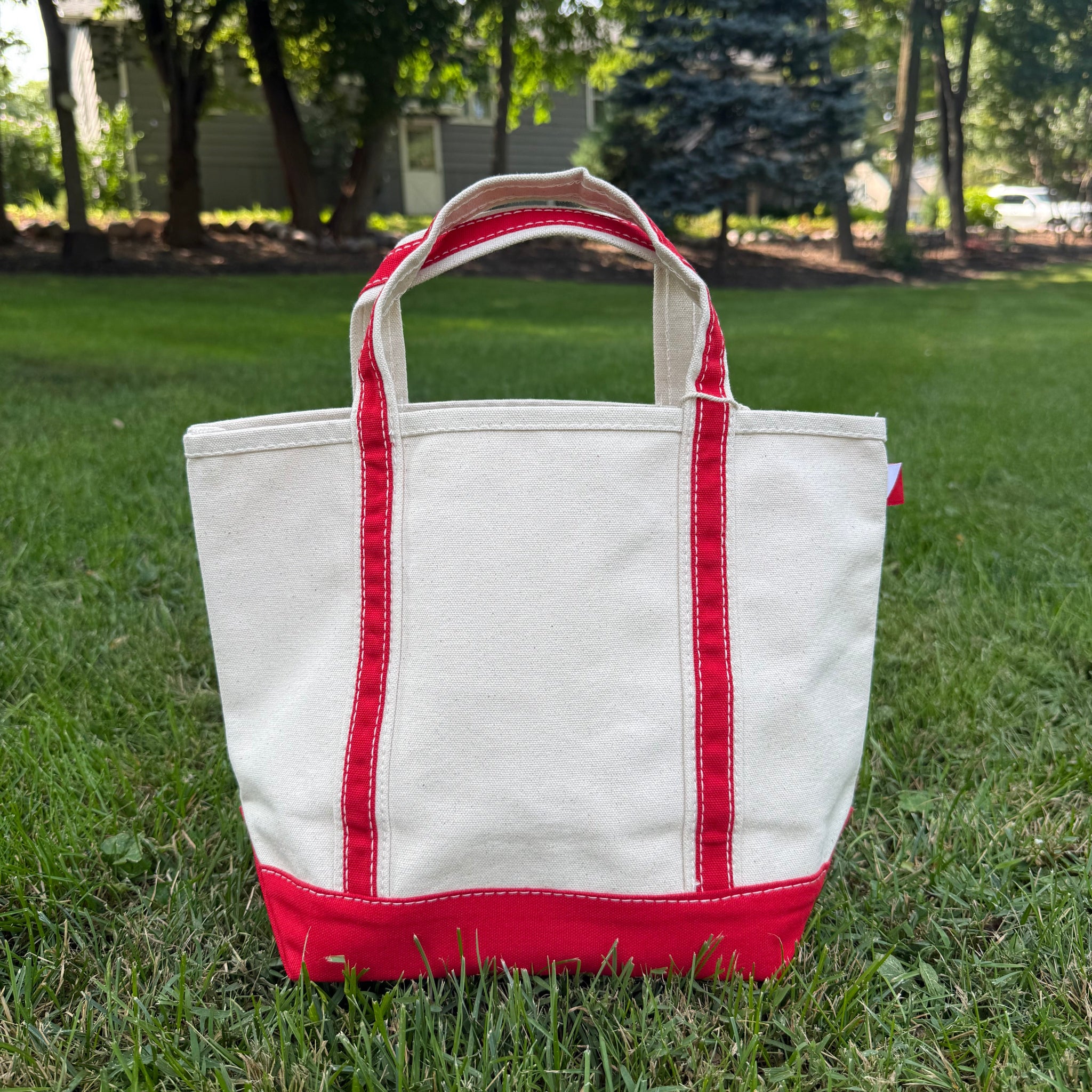 Canvas Lake Tote Bag - Mini